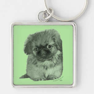 Chaveiro Pekingese Puppy Green