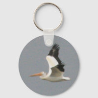 Pelicano Branco Americano
