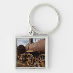 Chaveiro Península de Seward, Alasca, Trem para Nenhuma Par