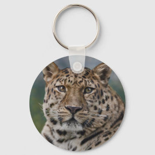Chaveiro Pensamentos Leopardo