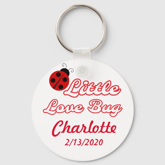 Chaveiro Pequeno Inseto de Amor Personalizado Ladybug (Frente)