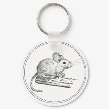 Pequeno Rato Lápis