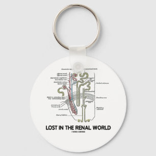 Chaveiro Perdido No Mundo Renal (Rim Nephron)