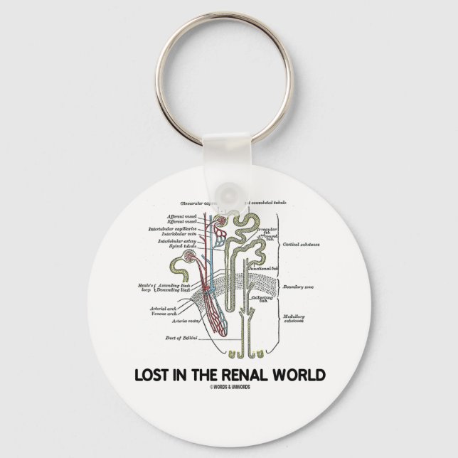 Chaveiro Perdido No Mundo Renal (Rim Nephron) (Frente)
