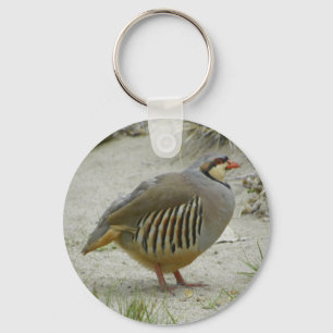 Chaveiro Perdiz de Chukar