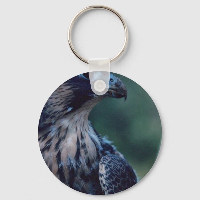 Chaveiro Peregrine Falcon (Frente)