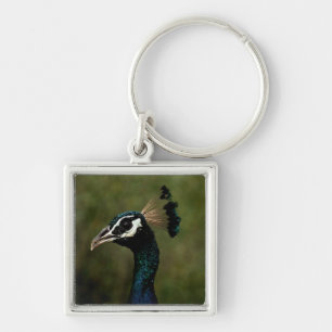 Chaveiro Perfil de Peacock