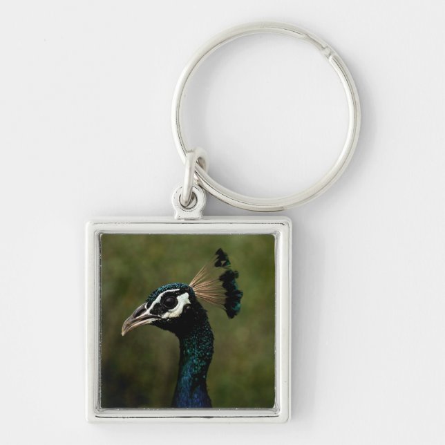 Chaveiro Perfil de Peacock (Frente)