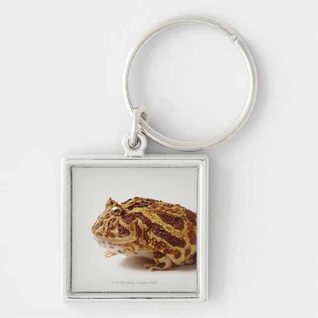 Chaveiro Perfil de sapo Horned de Argentina (Frente)