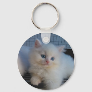 CHAVEIRO PERSA BONITO DO GATINHO DO CAT DO BRANCO