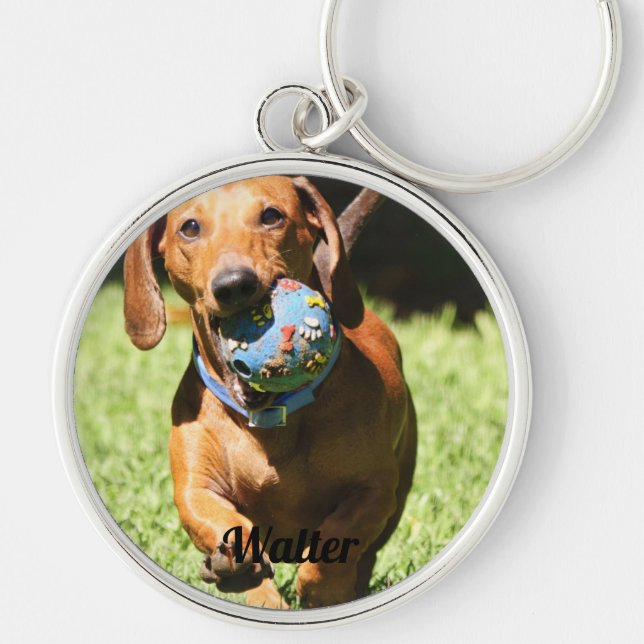 Chaveiro Personalização de Foto e Texto de Pet Personalizad (Frente)