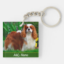 Personalizado Blenheim Cavalier King Charles