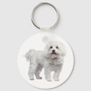 Chaveiro Personalizado de Cachorro Maltês Branco