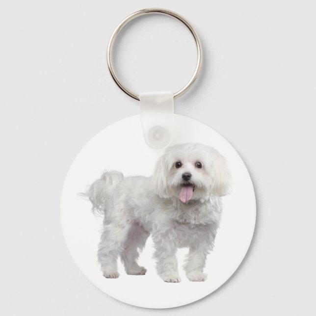 Chaveiro Personalizado de Cachorro Maltês Branco (Frente)