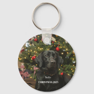 Chaveiro Personalized Pet Ornament