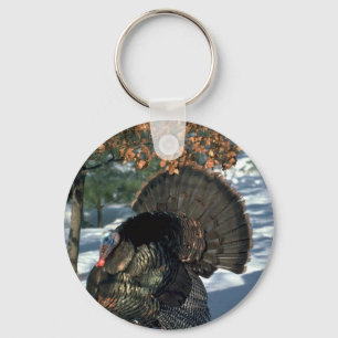 Chaveiro Peru selvagem oriental, gobbler enorme no suporte