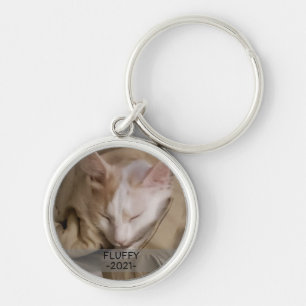 Chaveiro Pet Cat Dog Photo Name Modelo