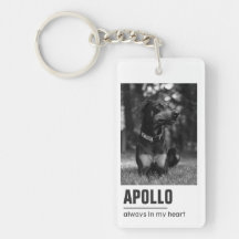 Pet Loss Simpatia Memorial Keepsasael Símbolo