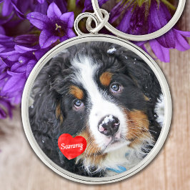 Chaveiro Pet Memorial Pet Perde Gift Simpatia de Dog Foto