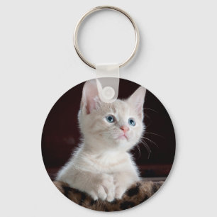 Chaveiro Pet Photo Cat Lover Personalizado