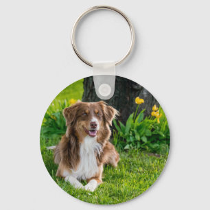 Chaveiro Pet Photo Dog Lover Personalizado