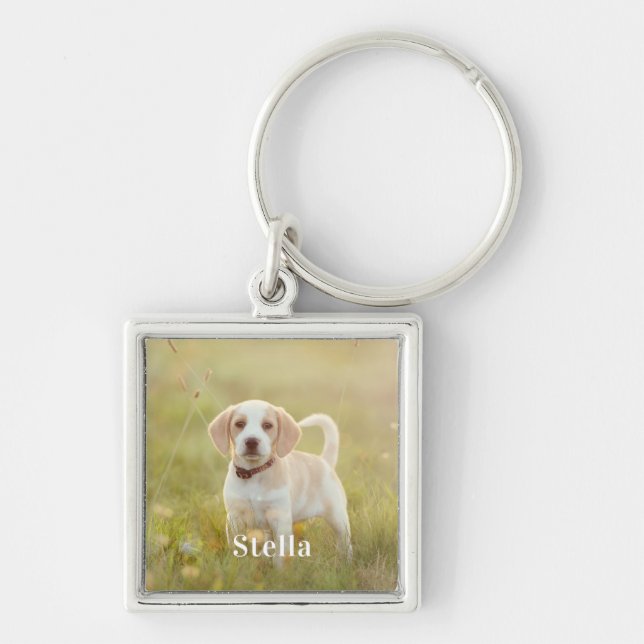 Chaveiro Pet Photo Keychain Personalized Pet Photo Dog Love (Frente)