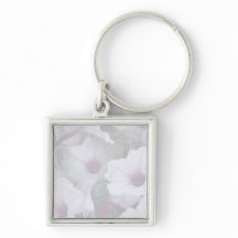 Petunias Brancas E Rosa