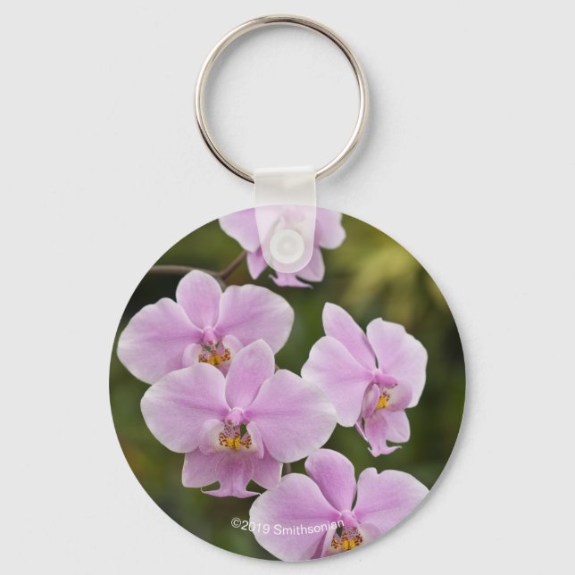 Chaveiro Phalaenopsis Schilleriana (Frente)