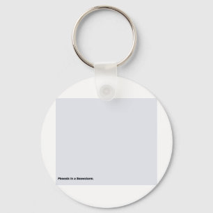 Chaveiro Phoenix numa tempestade de neve