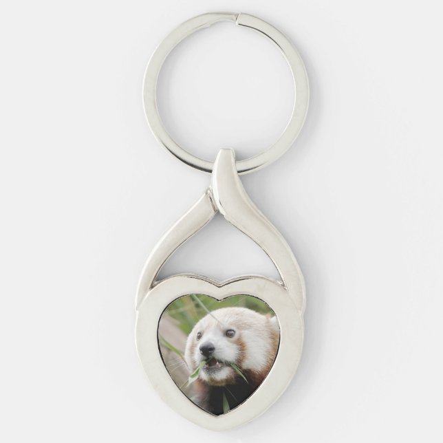 chaveiro Photo red panda , animais 0369. (Frente)