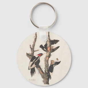 Chaveiro Pica-Pica-Pau Fita Audubon