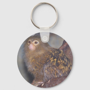 Chaveiro Picgmy Marmoset