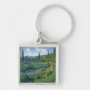 Chaveiro Picnic Creek na Jewel Basin de Swan