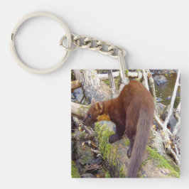Chaveiro Pine Marten no registro