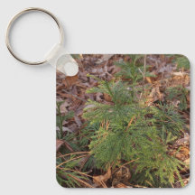 Pine Sapling Keychain Nature-Inspired Gift