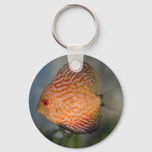 Chaveiro Pingente em forma de Disco de Pedra Pombo