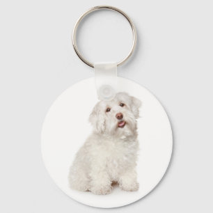 Chaveiro Pingente Personalizado de Cachorro Filhote Maltês 