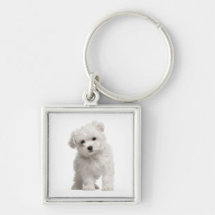 Chaveiro Pingente Personalizado de Cachorro Filhote Maltês