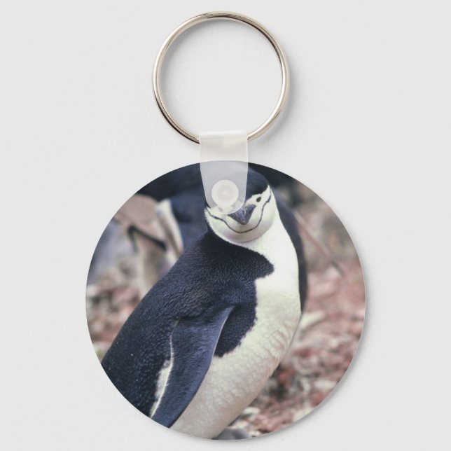 Chaveiro Pinguim Chinstrap com Bebê (Frente)