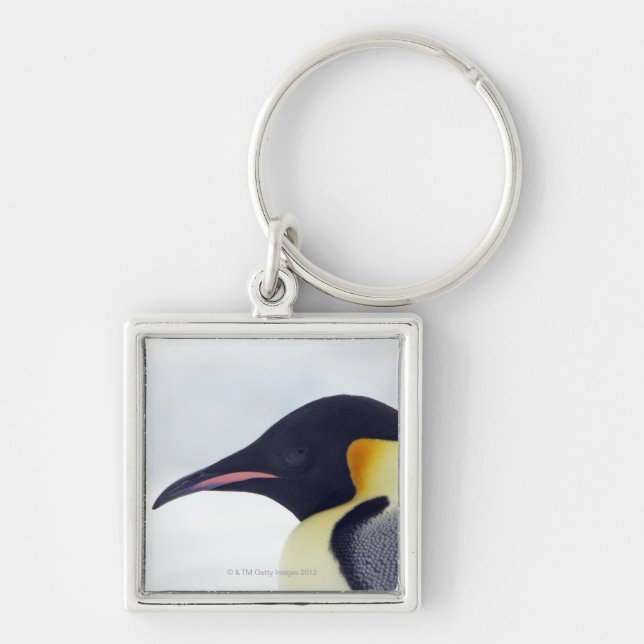 Chaveiro Pinguim de imperador, ilha do monte da neve (Frente)