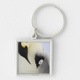 Chaveiro Pinguim de imperador que olha o pintinho