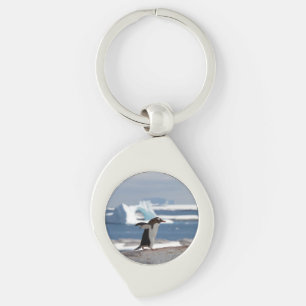 Chaveiro Pinguim em frente a um arco de gelo