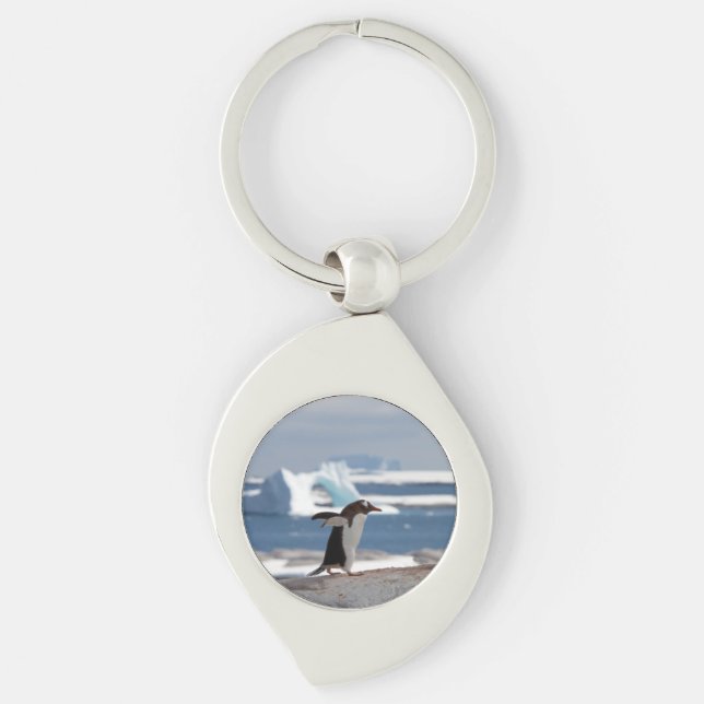 Chaveiro Pinguim em frente a um arco de gelo (Frente)