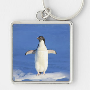Chaveiro Pinguim engraçado no gelo