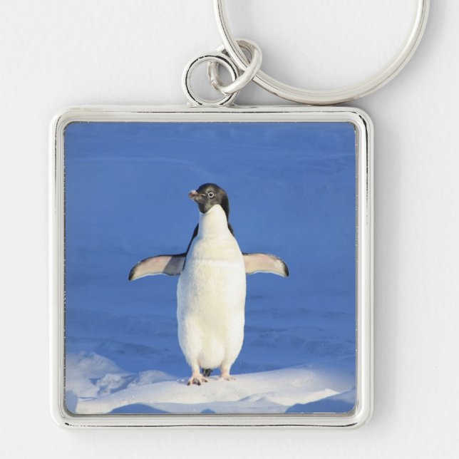 Chaveiro Pinguim engraçado no gelo  (Frente)
