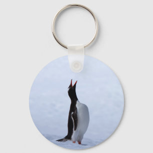 Chaveiro Pinguim Gentoo