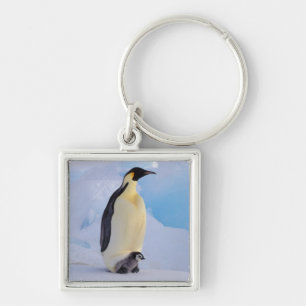 Chaveiro Pinguim-imperador Aptenodytes