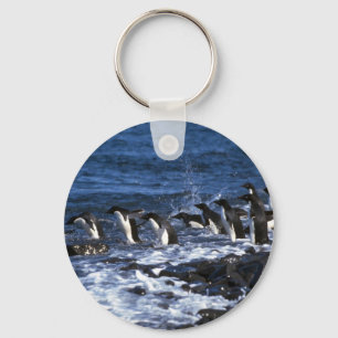 Chaveiro Pinguins de Adelie