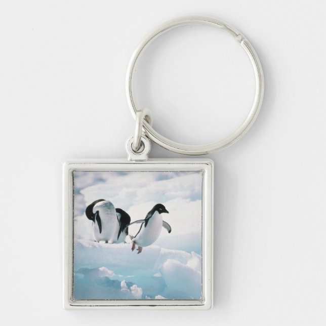 Chaveiro Pinguins de Adelie (adeliae) do pygoscelis a (Frente)