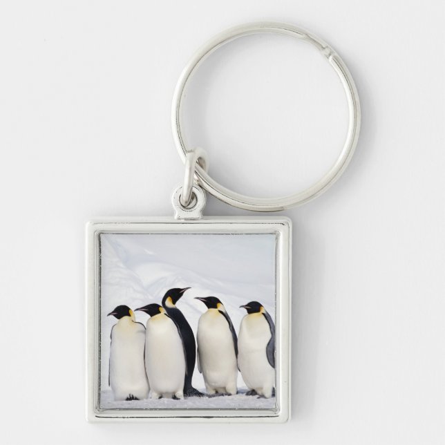 Chaveiro Pinguins de imperador (Frente)